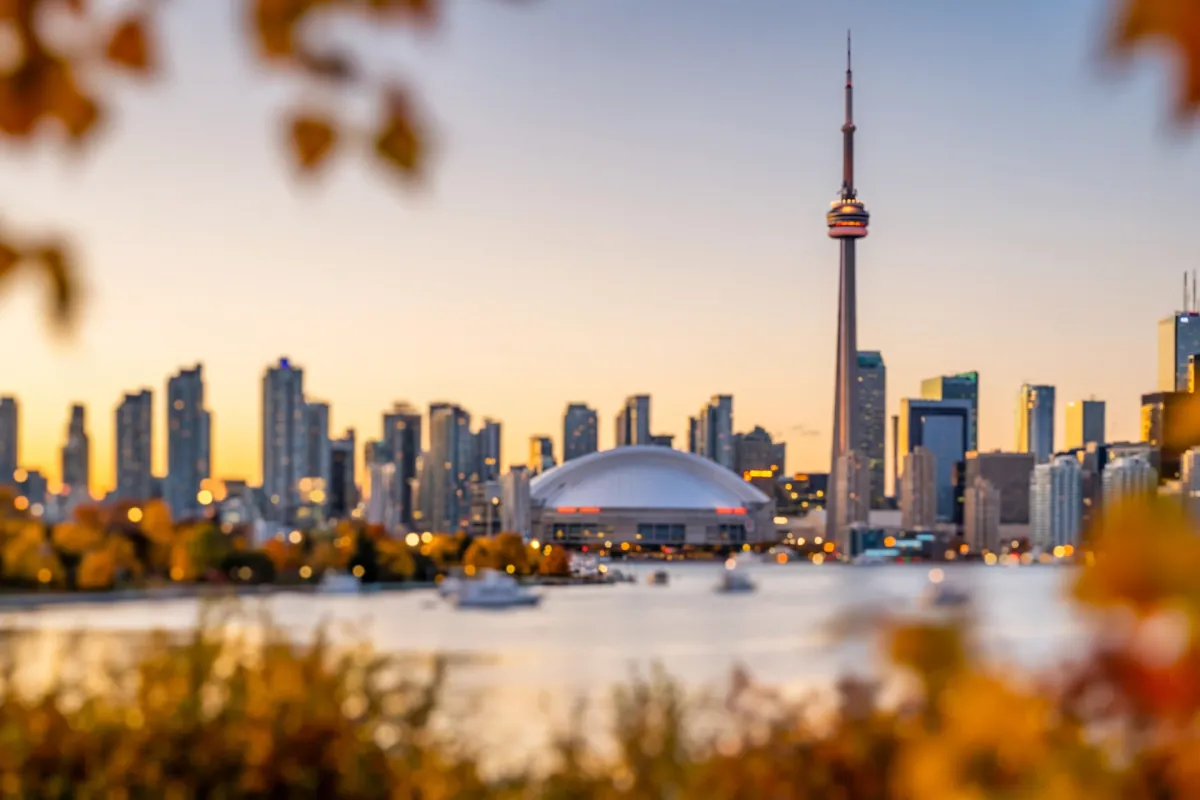 Toronto street in autumn with golden leaves and bokeh lights